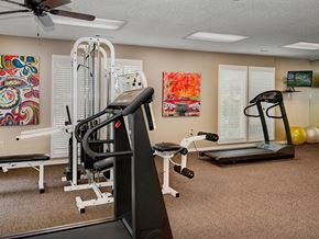 Rogers apartment for rent - spacious gym with exercise equipment at the villas at falling waters in west omaha