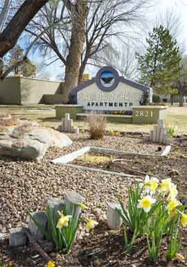 Albuquerque apartment for rent - a cemetery with daffodils in front of a park sign