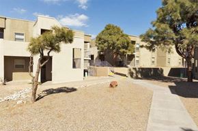 Albuquerque apartment for rent - a dog sitting in a yard in front of an apartment building
