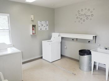 Pet wash