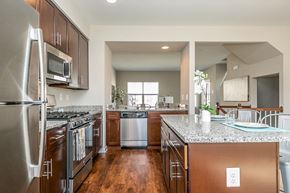 Ellicott City townhouse for rent - Solid wood shaker-style cabinetry at Townes at Pine Orchard, Maryland 21042