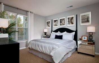 Premium carpeting in bedrooms