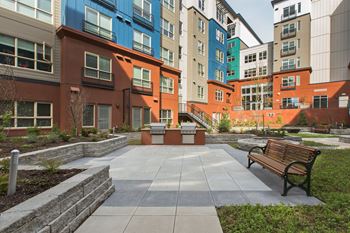 Landscaped courtyard with bbq area