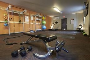 Plymouth apartment for rent - A gym with a bench, dumbbells, and a ball.