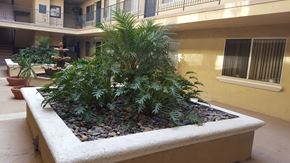 Studio City apartment for rent - a planter with a plant in the middle of a building