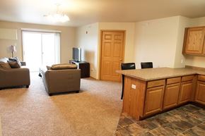 Tioga apartment for rent - A living room with a grey couch, a brown couch, a wooden cabinet, and a television.