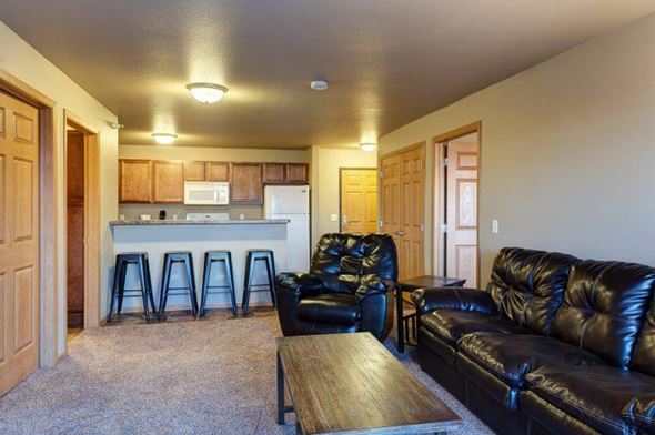 Tioga apartment for rent - a living room with a leather couch and a kitchen