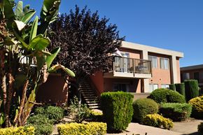 Lakeside apartment for rent - Exterior