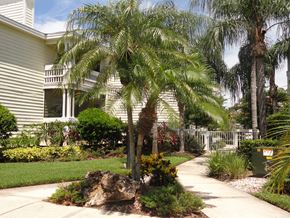 St. Petersburg apartment for rent - Exterior view at  Bridgewater Apartments, Florida 33716