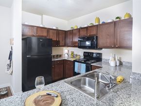 Austin apartment for rent - Modern Cabinetry at The Terrace at Walnut Creek, Texas