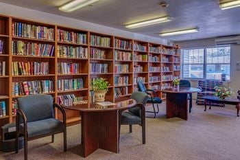 Peaceful library