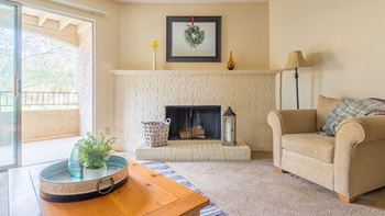 Wood-burning fireplace
