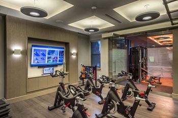 Cycle studio