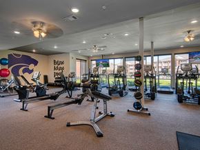 Manhattan apartment for rent - a gym with weights and other exercise equipment in a room with windows