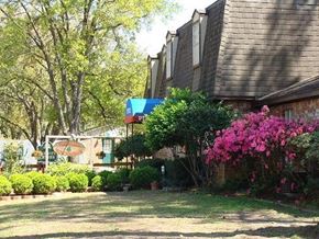 Conroe apartment for rent - a house with a pink flowering in front of it