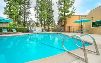 Swimming pool and sundeck