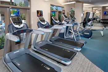 24-Hour cardio theater with free weights