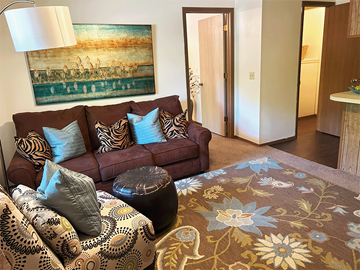 Fayetteville apartment for rent - a living room with a brown couch and a rug