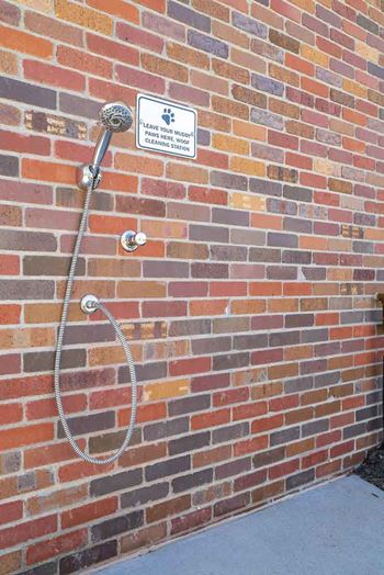Dog rinsing station