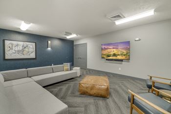 Theater room