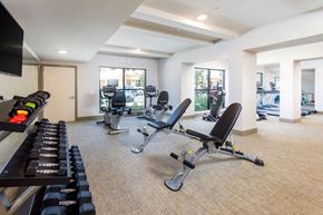 Camarillo apartment for rent - Springville Seniors Apartments Community fitness center with free weights