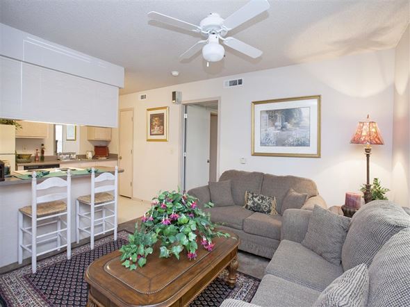 Springdale apartment for rent - a living room with a couch and a coffee table