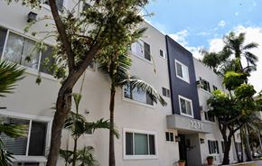 Hollywood apartment for rent - street view of the community and its trees