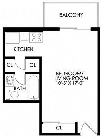 Floor plan for studio, 1 bath, 316 sqft