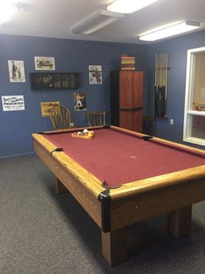 Flushing townhouse for rent - a red pool table in a blue room