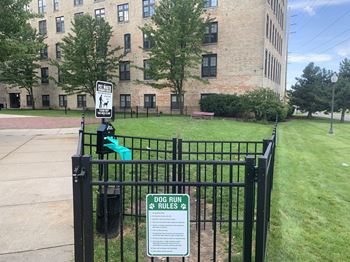 Dog park