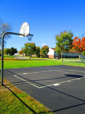 Basketball court