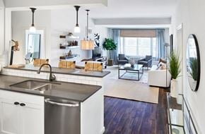 Amityville apartment for rent - a kitchen and living room with a view of a living room
