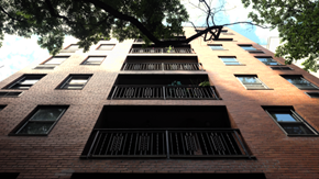 New York apartment for rent - a tall brick building with a tree in front of it