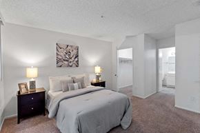 Northridge apartment for rent - Spacious primary bedroom with walk-in closet and an attached bathroom. The bedroom and the walk-in closet flooring is carpeted, which makes it a perfectly cozy space to relax.