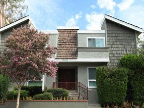 North Hollywood apartment for rent - a gray house with a flowering tree in front of it