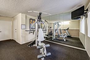 Lake Balboa apartment for rent - a gym with exercise equipment and a tv on the wall