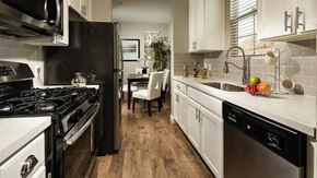 Camarillo apartment for rent - a kitchen with a stove and a sink and a refrigerator