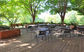 Columbia apartment for rent - the patio is filled with tables and chairs and trees