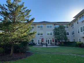 Baltimore apartment for rent - A sunny day at a residential apartment complex with a tree in the foreground.