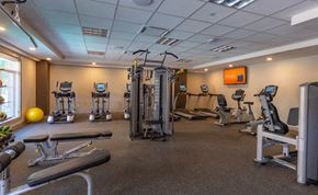 Madison apartment for rent - a gym with cardio equipment and weights on the floor
