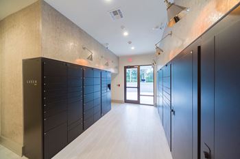 Ciel luxury apartments | brand new apartments in jacksonville, fl