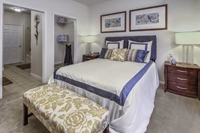 Raleigh apartment for rent - Apartment Bedroom