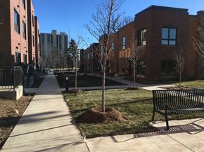 Minneapolis apartment for rent - A tree is planted in a patch of dirt in front of a building.