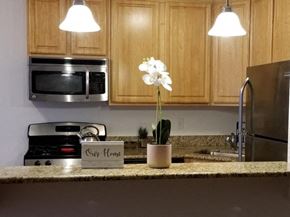 Washington apartment for rent - a kitchen counter top with a white flower on it