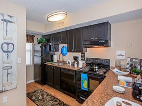 Knoxville apartment for rent - a kitchen with black appliances and black cabinets