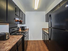 Murfreesboro apartment for rent - a kitchen with stainless steel appliances and black refrigerator