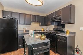 Murfreesboro apartment for rent - a large kitchen with black appliances and black cabinets