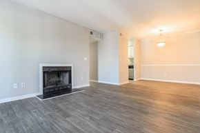 Columbia apartment for rent - an empty living room with a fireplace and wood flooring