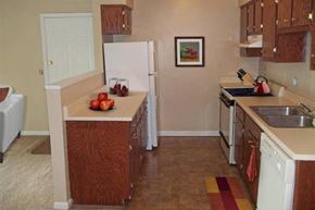 Clarksville apartment for rent - a kitchen with a sink and a refrigerator