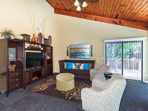 Chattanooga apartment for rent - a living room with a couch and chairs and a television